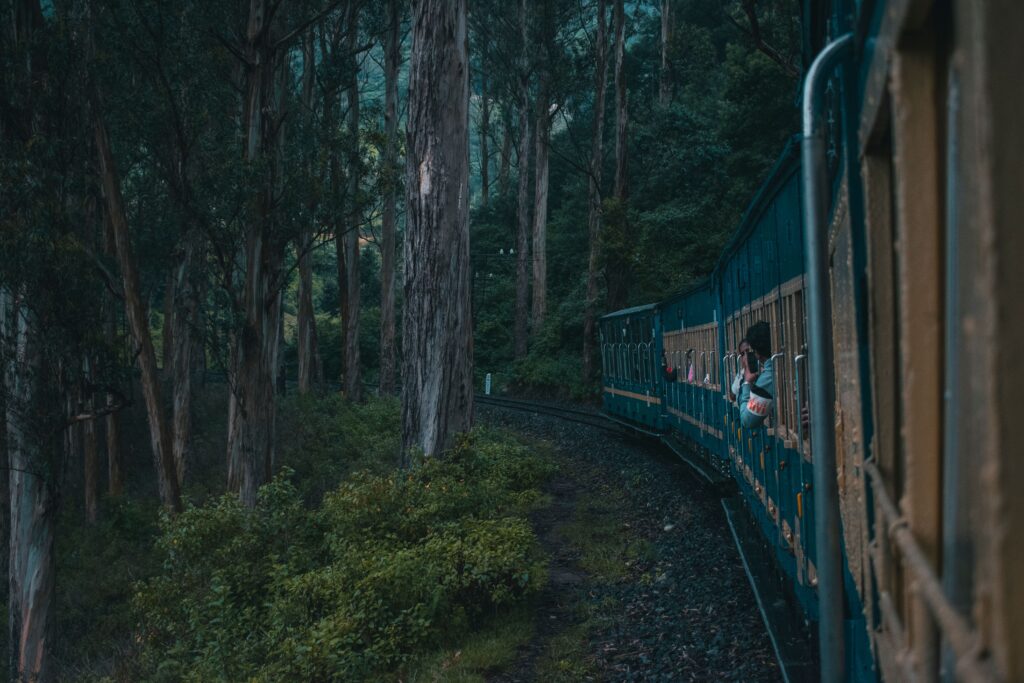 Explore the lush forests of India with a scenic train journey through the heart of Mysuru.