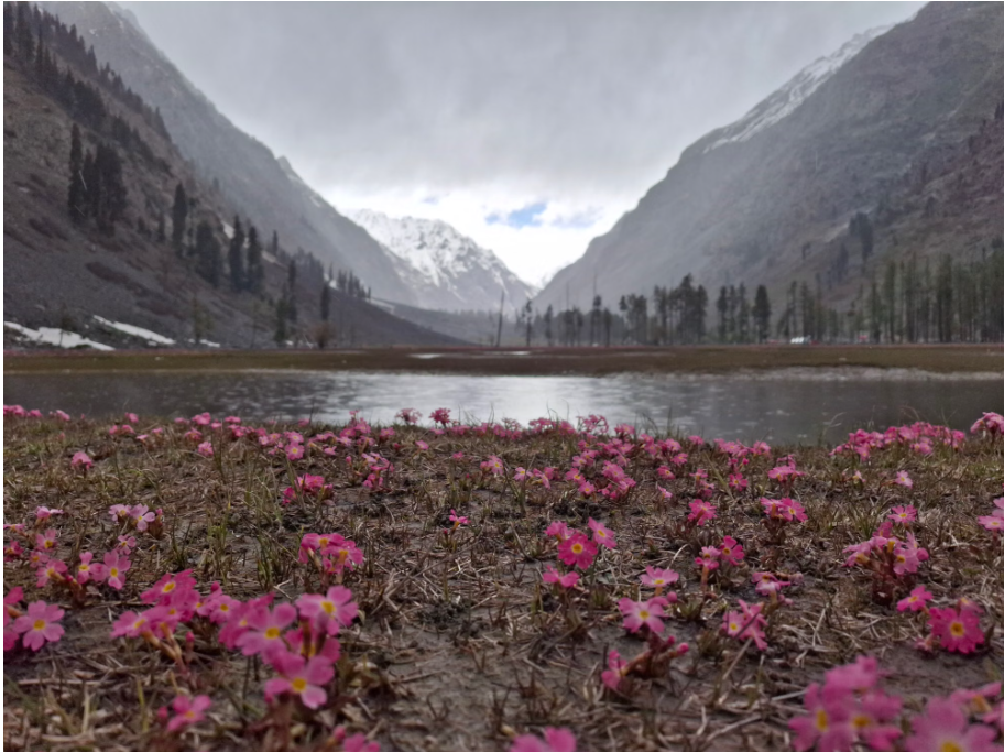 places to visit in uttarakhand